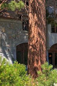 Vikingsholm